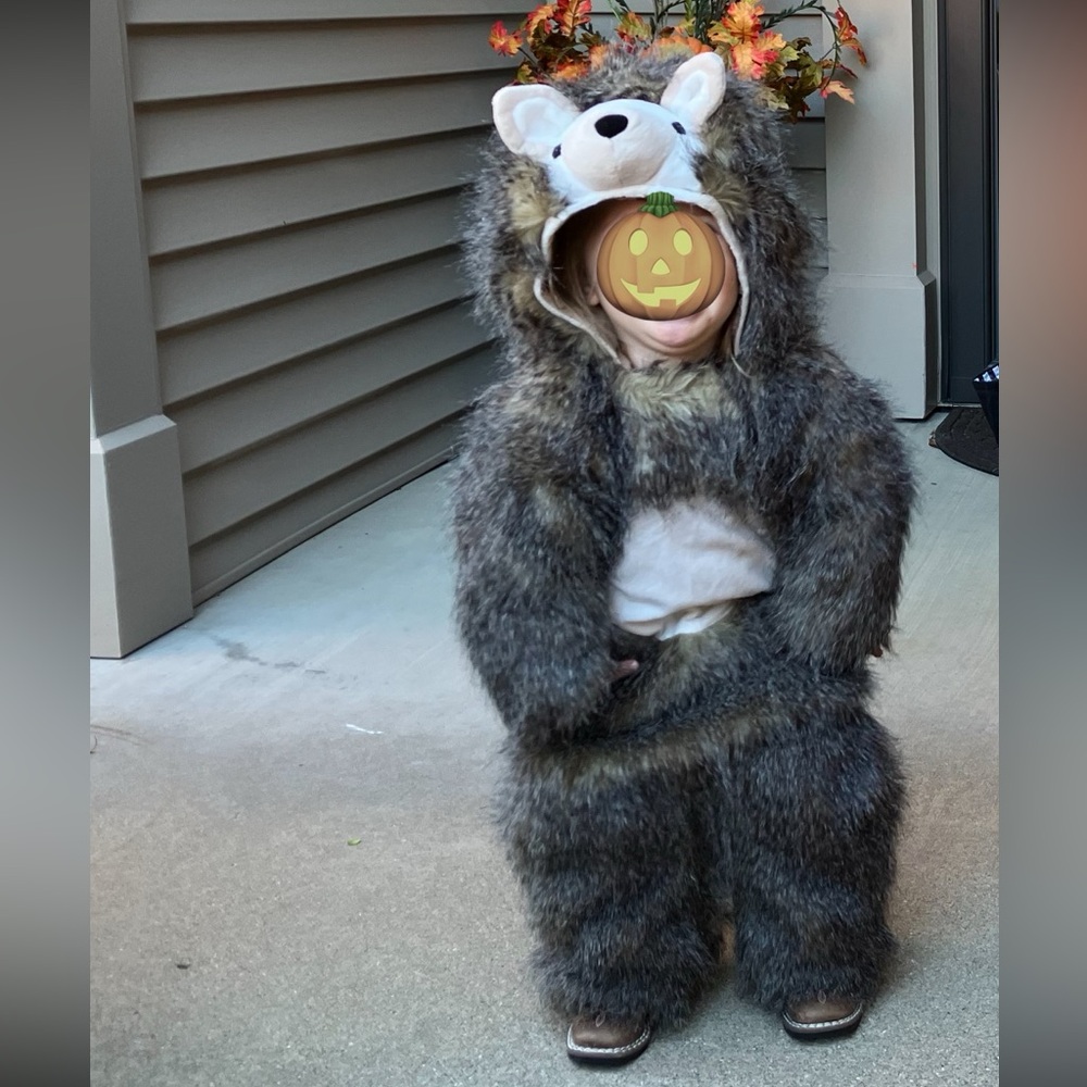 Pottery Barn Kids Rare Hedgehog Costume - LIKE NEW - Picture 6 of 6